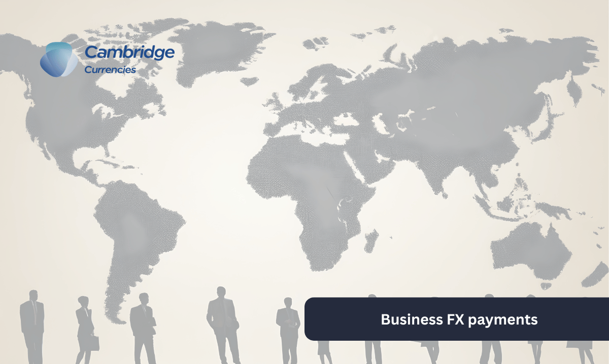 Business FX Payments Guide | International Transfers