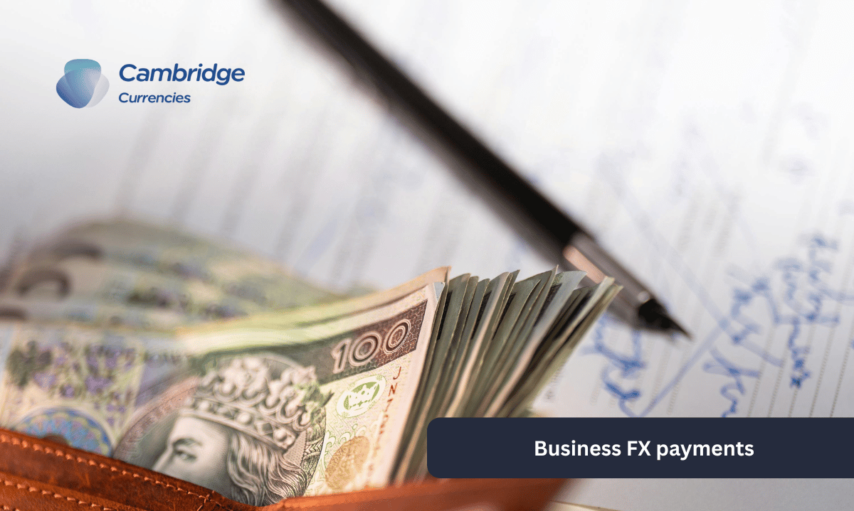 Multi-Currency Conversion: How to Manage Multiple Currencies for Business and Personal Use