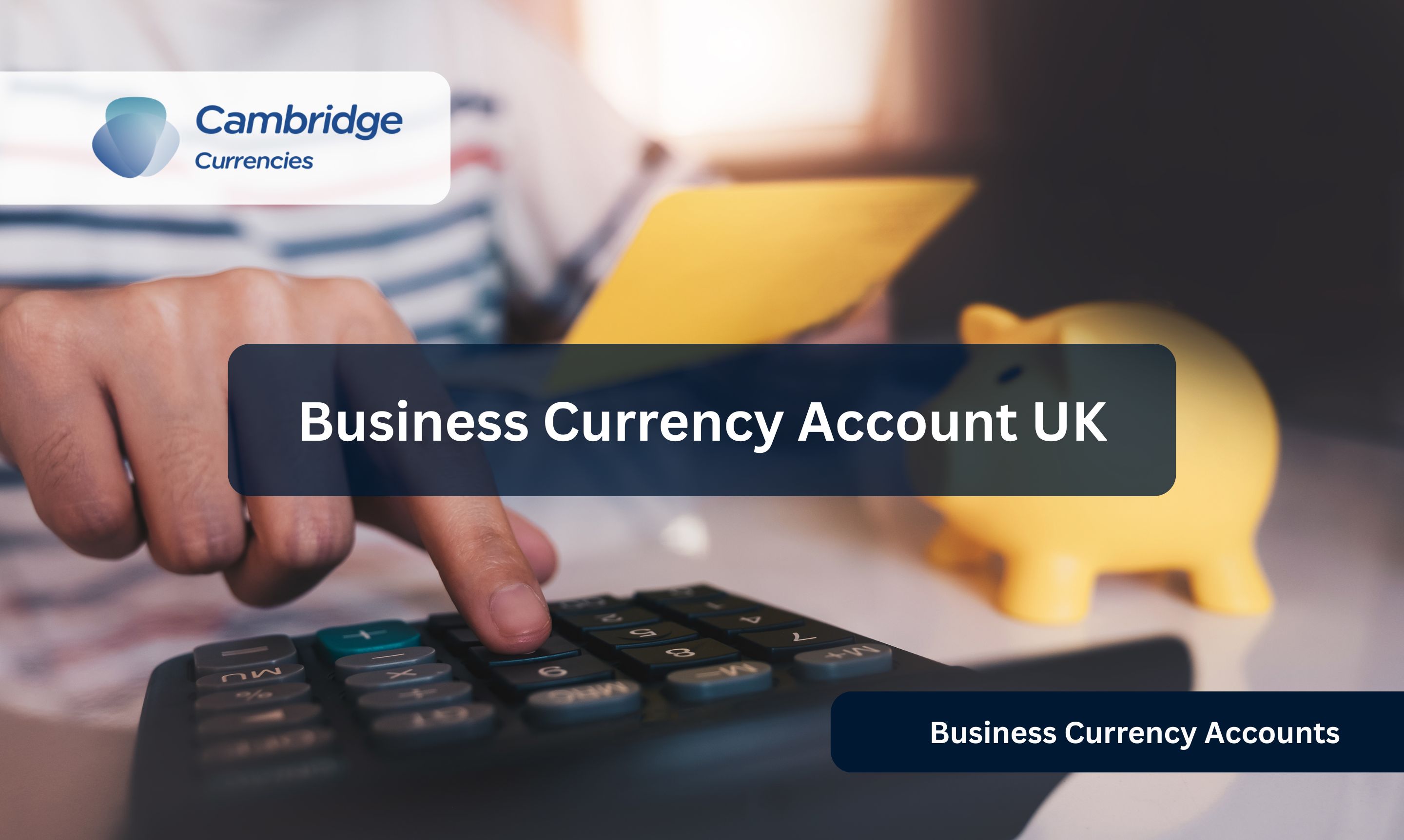 Business Currency Account UK