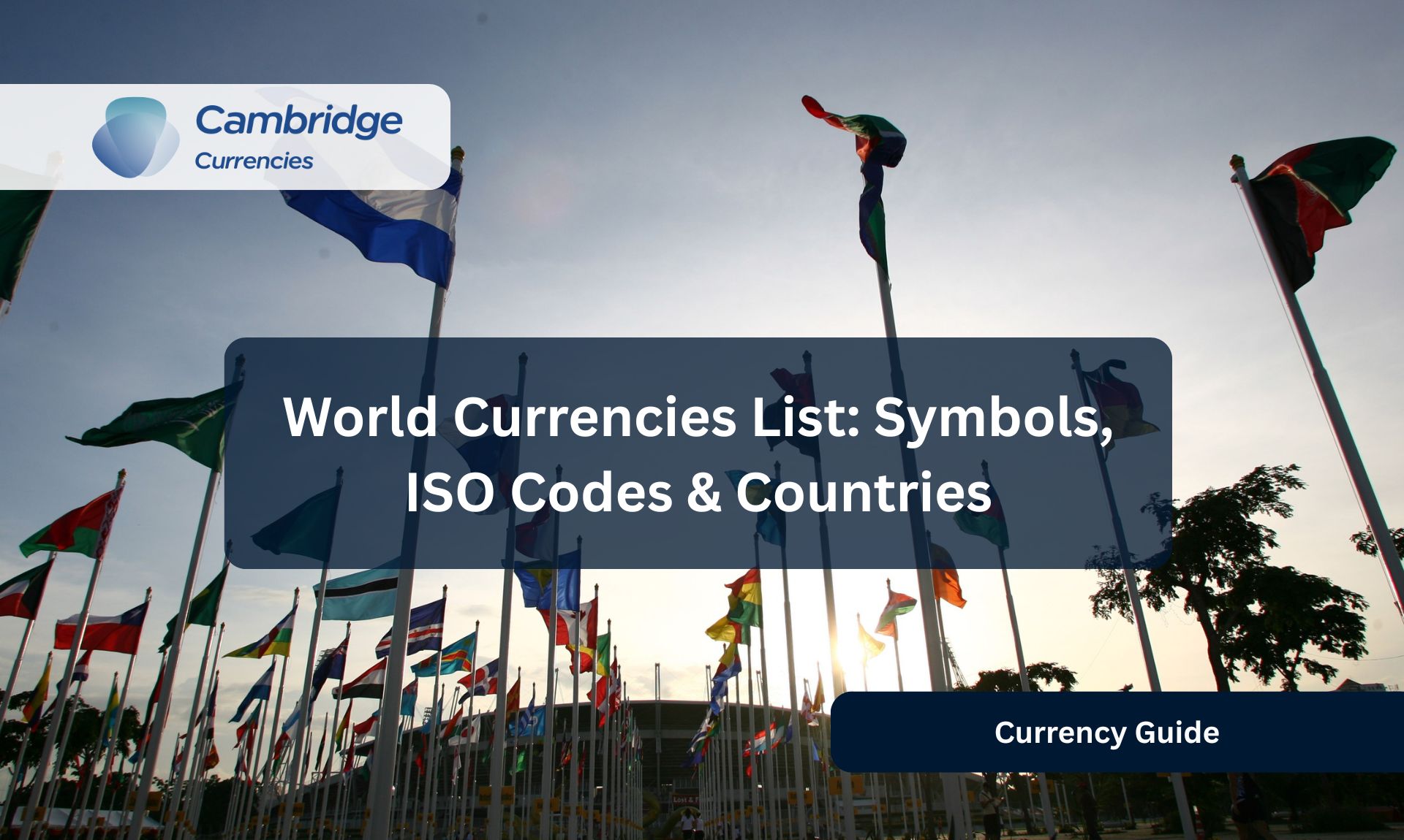 World Currencies List: Symbols, ISO Codes & Countries