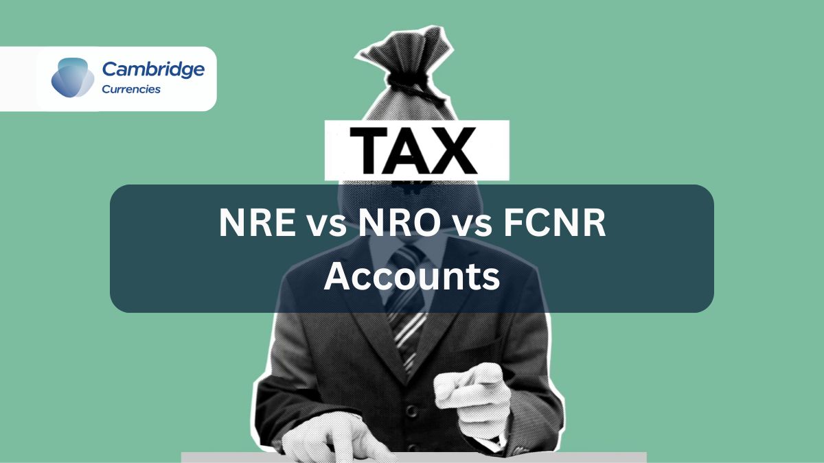 NRE vs NRO vs FCNR Accounts: Which One Do NRIs Need?